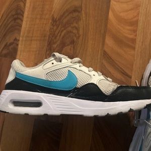 Slightly worn Nike Air Max with blue check mark